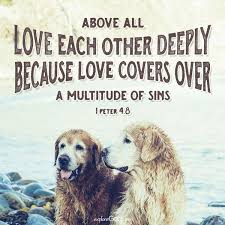 Above All Love Each Other Deeply Because Love Covers Over A Multitude Of Sins 1 Peter 4 8 God Loves Me Love Cover Gods Love
