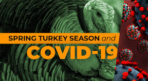 When is turkey breeding season? Kentucky Suspends Non Resident Spring Turkey Permit Sales Lane Report Kentucky Business Economic News Kentucky Suspends Non Resident Spring Turkey Permit Sales