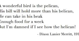 Pelican Poem Limerick Poem Poems Limerick