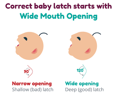 4 Tips For Mastering That Perfect Latch Kirstin Kade Nutrition