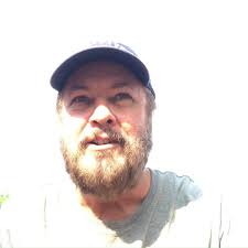 In 1999, a Harvard professor observed, "We are drowning in information  while starving for wisdom.", Twenty-five years later, we are even more  entrenched in our digital devices—be it smartphones, ...