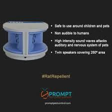 Havahart 5277 animal repellent & sprinkler. 9 Best Rodent Repellent Ideas Rodent Repellent Repellent Rat Repellent