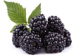 See and discover other items: Blackberry Fruit Service Provider From Kolkata