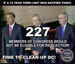 Term Limits Now