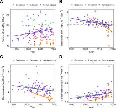 the carbon sink of tropical seasonal