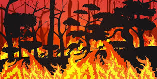 Jun 04, 2021 · los pines animados en 3d conmemoran acontecimientos históricos de la historia de los juegos olímpicos y varían en rareza y valor. Quema De Incendios Forestales En La Noche Fuego En El Bosque Vector Gratis Forestal Hermosa Fotografia De Paisaje Australia Animales