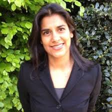 Top female boss comes under fire for having too many jobs: The rise of the  'Golden Skirts'