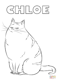 Download or print for children, 100 images. Pet Coloring Pages Chloe From The Secret Life Of Pets Coloring Page Free Printable Entitlementtrap Com Secret Life Of Pets Pets Drawing Coloring Pages