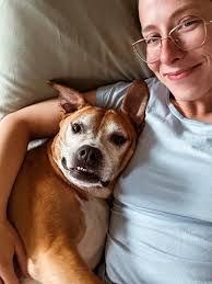 This is Blaze, a retired racing professional who is now savoring the good  life .