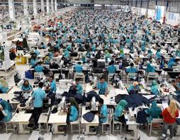 Coba bertanya pada bagian hrd. Lowongan Jepara Kerja Sebagai Management Trainee Produksi Staff Warehouse All Departement Operator Mekanik Utillity Di Pt Kanindo Makmur Jaya 2 Lowongan Kerja Kudus Terbaru 2021