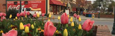 Driven in a car, by drone, bicycle, computer, etc. 19th Annual Tulip Extravaganza City Of Hendersonville Nc Official Website