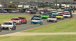 Why does a viagra pill cost $20? 2021 Enascar Coca Cola Iracing Series Field Set Nascar