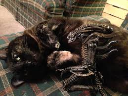 Amaze your friends with this super realistic alien avatar. The Xenomorph S Coloring Kitty So That S Why I Lik Flickr