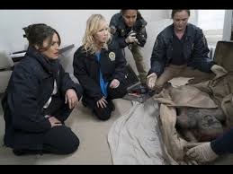 The first season featured more of the characters' private lives, random courtroom scenes unrelated to the episodes' primary cases, and much brighter. Law Order Svu Season 17 Episodes 1 2 Review After Show Afterbuzz Tv Youtube