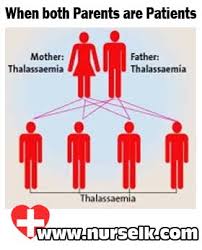 thalassemia nurselk com