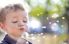 Annual Report FY 2015