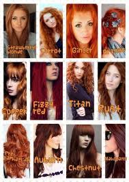 Super Makeup Ideas For Redheads Strawberry Blonde Ideas Shades Of Red Hair Copper Hair Color Hair Shades