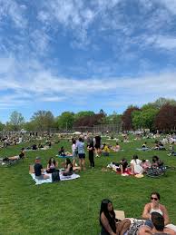 The event garnered four tickets that were issued to visitors of trinity bellwoods for allegedly disobeying the physical distancing bylaw and provincial orders. My Friend Just Sent Me This Picture From Trinity Bellwoods May 22 At 5pm Toronto