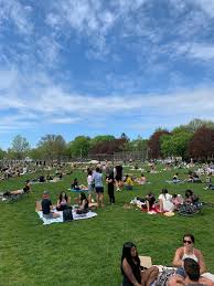 A bicycle police officer patrols trinity bellwoods park in toronto on sunday, may 24, 2020. My Friend Just Sent Me This Picture From Trinity Bellwoods May 22 At 5pm Toronto