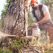 Gasoline vapor pressure may build up inside the fuel tank depending Stihl Chainsaw Engine Fuel Mix Ratio