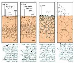 توسيع نطاق الأنشطة التجارية إلى بلدان أخرى. Ø§Ù„ØªØ±Ø¨Ø© Ø§Ù„ØªØ±Ø¨Ø© ÙˆÙ…ÙƒÙˆÙ†Ø§ØªÙ‡Ø§ ØµÙØ­Ø© Ø§Ù„Ø¬ÙŠÙˆÙ„ÙˆØ¬ÙŠÙŠÙ† Ø§Ù„Ø¹Ø±Ø¨ Facebook