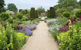 Check spelling or type a new query. The Ultimate Border Flower Guide What To Buy When To Plant And How To Provide Year Round Care The Telegraph