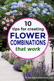 Plant Combinations 10 Tips For Creating Flower Combinations That Work Gardening From House To Home Plant Combinations Plants Spirea Bush