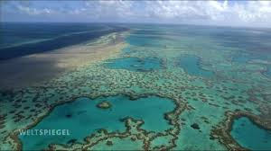 The great barrier reef can be seen from outer space. Great Barrier Reef In Gefahr Weltspiegel Ard Das Erste