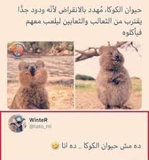 ضحك حتى البكاء ضحك جزائري ضحك حتى البول ضحك معنى ضحك اطفال فوائد الضحك ضحك meaning الضحك في المنام نكت قص fun quotes funny funny joke quote funny arabic quotes