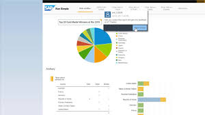 commenting on report data in sap businessobjects web intelligence interactive viewer 4 2 sp5