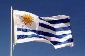 Uruguai é a 50ª bandeira em ordem alfabética do catálogo estilo pinguim. Bandeira Do Uruguai Uruguay Grande 1 50 X 0 90mt Mercado Livre