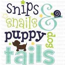 Download Baby Boy Sentiments Svg Svg Designs Bunnycup Embroidery