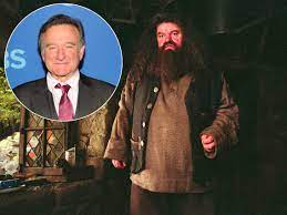 Rubeus hagrid — stephen fry. Robin Williams Rejected For Hagrid Role In The Harry Potter Films
