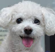 Wellness.com provides reviews, contact information, driving directions and the phone number for pet care center in montgomery, al. Blue Ridge Animal Clinic Wetumpka Veterinarians Animal Hospital