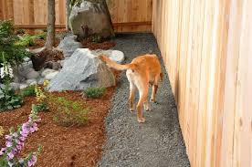 Dogs Tops Tips About Dogs That Anyone Can Follow You Can Get Additional Details At The Image Link Dogs Dog Backyard Dog Friendly Backyard Diy Dog Fence