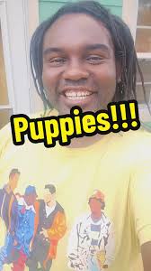 Adorable Puppy Playtime with Shirley, Pork Chop, Barbara, and Sugarfoot