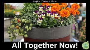 Check spelling or type a new query. Bringing Vegetables Herbs And Flowers Together In One Container Garden Beautifully