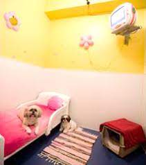Our facility is an all suite facility so they each have a bed and blankets in their own kennel or room. Dog Boarding In Cheshire Ct Paws Pet Resort Spa