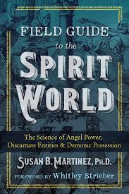 Learn the definition of 'discarnate entity'. Field Guide To The Spirit World The Science Of Angel Power Discarnate Entities And Demonic Possession Martinez Ph D Susan B Strieber Whitley 9781591433323 Amazon Com Books
