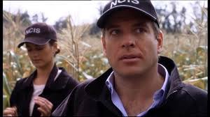 𝗦𝗔𝗬 𝗬𝗘𝗦 𝗜𝗙 𝗬𝗢𝗨 WANT NCIS TO CONTINUE WITH MORE SEASONS