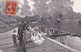 En compagnie d'un animateur, les enfants découvriront la vie des animaux lors d'une visite guidée suivie d'un atelier ludique adapté à chaque tranche d'âge. Lyon Parc De La Tete D Or Carte Postale Ancienne Et Vue D Hier Et Aujourd Hui Geneanet