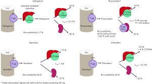 Can you drink alcohol while taking apixaban. The Significance Of Drug Drug And Drug Food Interactions Of Oral Anticoagulation Abstract Europe Pmc