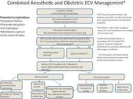 Image result for External Cephalic Version