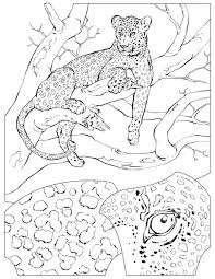 Free printable leopard coloring pages. Leopard Coloring Pages Coloring Home