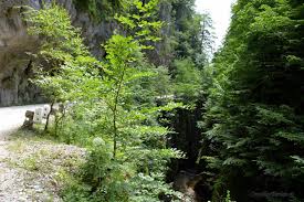 Dacă decizi să o vizitezi, poți chiar asista la slujba ținută de pastorii bisericii și admira această veritabilă operă de artă. Cinci Obiective Turistice Unice De La Poalele Parangului De Vizitat Intr O SingurÄƒ Zi Consilier Turism