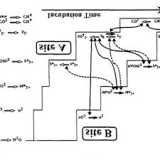 Maybe you would like to learn more about one of these? Pdf Interactions Between Microbial Processes And Geochemical Transformations Under Anaerobic Conditions A Review