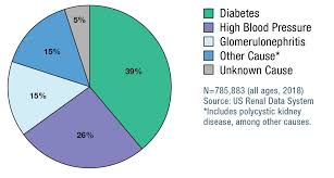 Diabetes is the most common cause of esrd. Ckd Related Health Problems