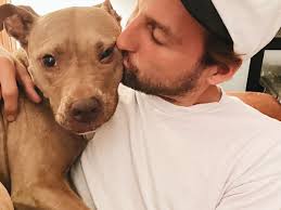 Fundraiser for Trevor McCurry by Ashley Channing : Help Save JoJo