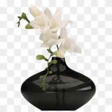 Yellow vase clip art png. Vase Png Png Transparent For Free Download Pngfind