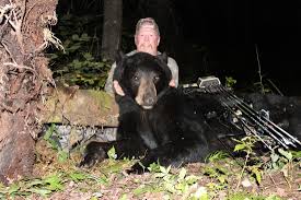 Symptoms correspond to the level of bacteremia and. Success Bear Fever Guide Service